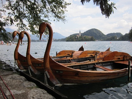 Swan Boats on Lake Bled